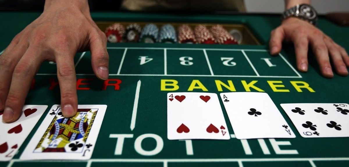 SlotoGate Live Betting